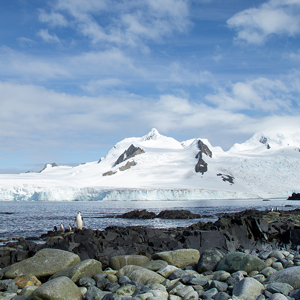 Intercurrence Island