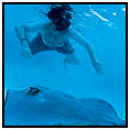 Hunting Caye