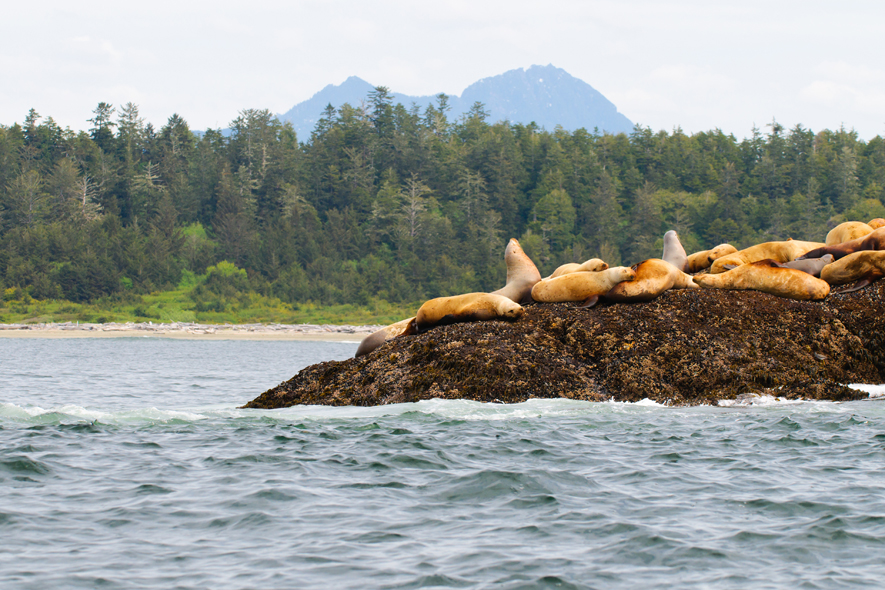British Columbia Coast