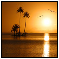 Robinson Crusoe Island