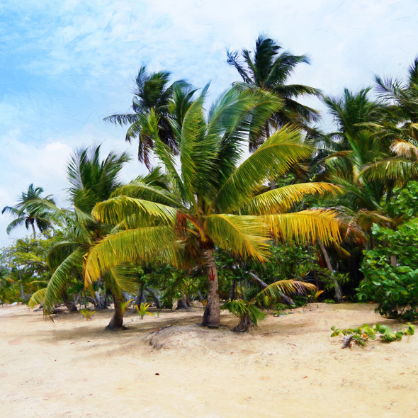 Samana