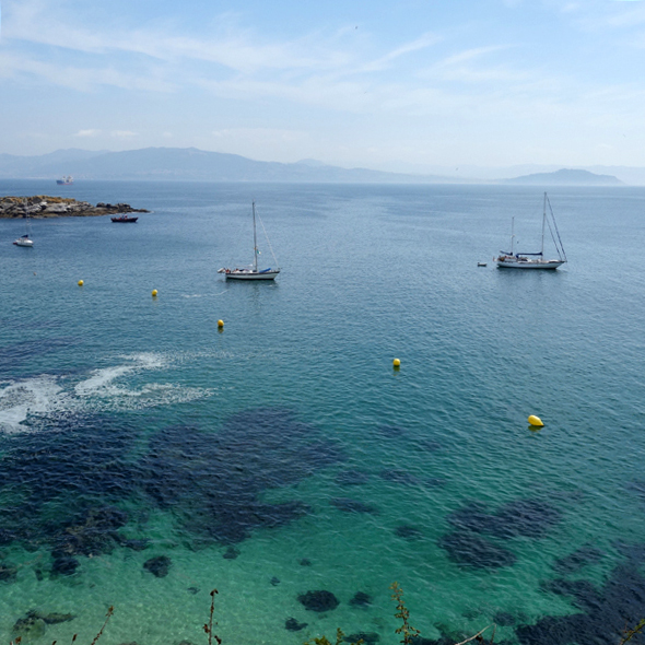 Vigo