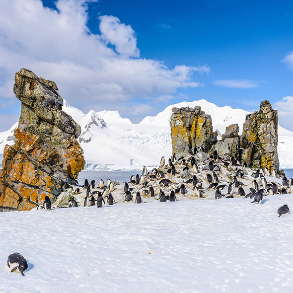 South Shetland Islands