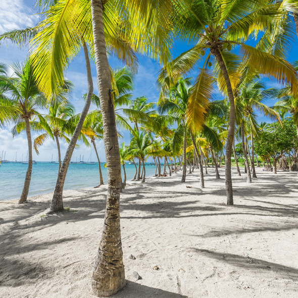 Guadeloupe