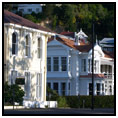 Napier