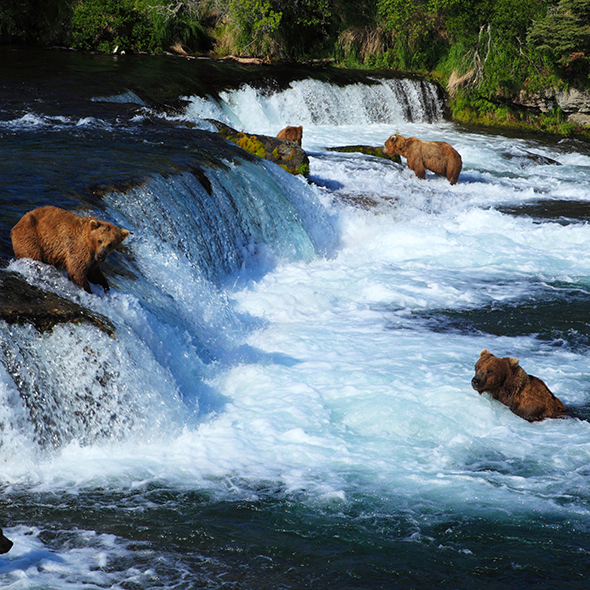 Katmai National Park