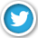 twitter-button